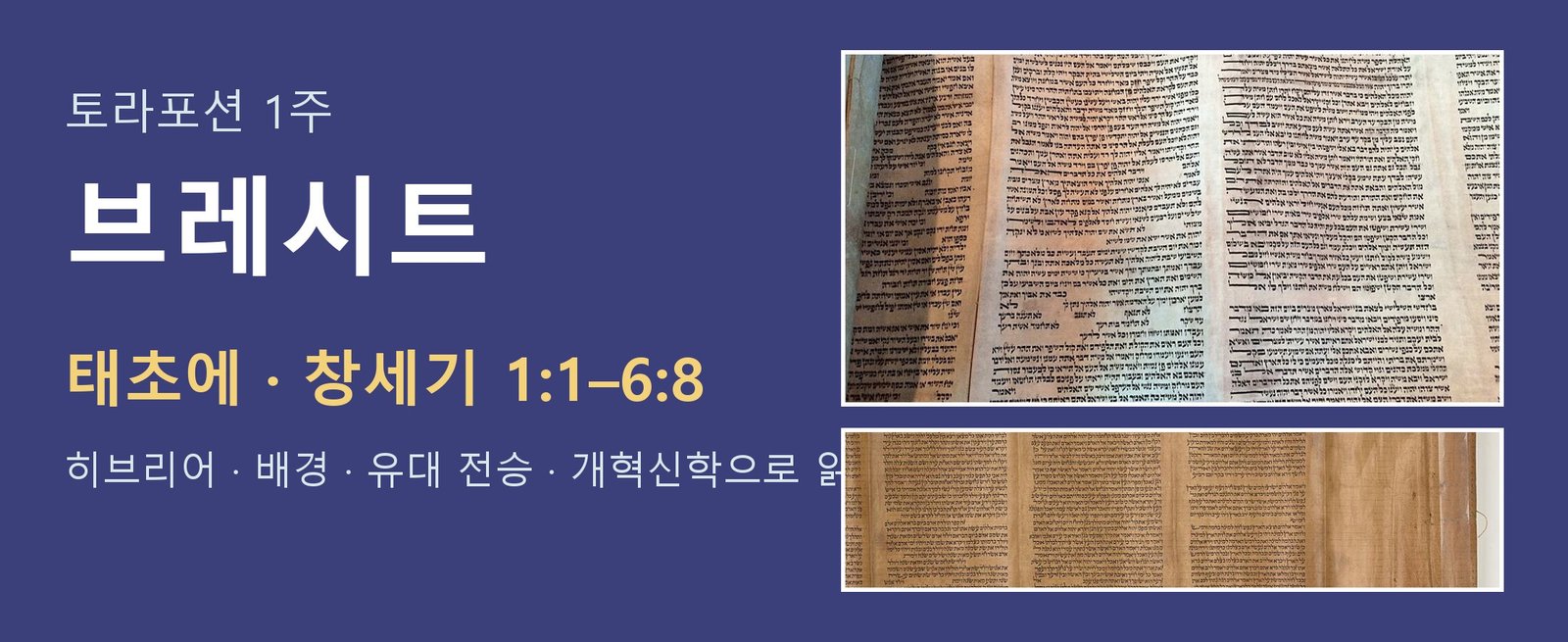 토라포션 1주 브레시트 대표 이미지