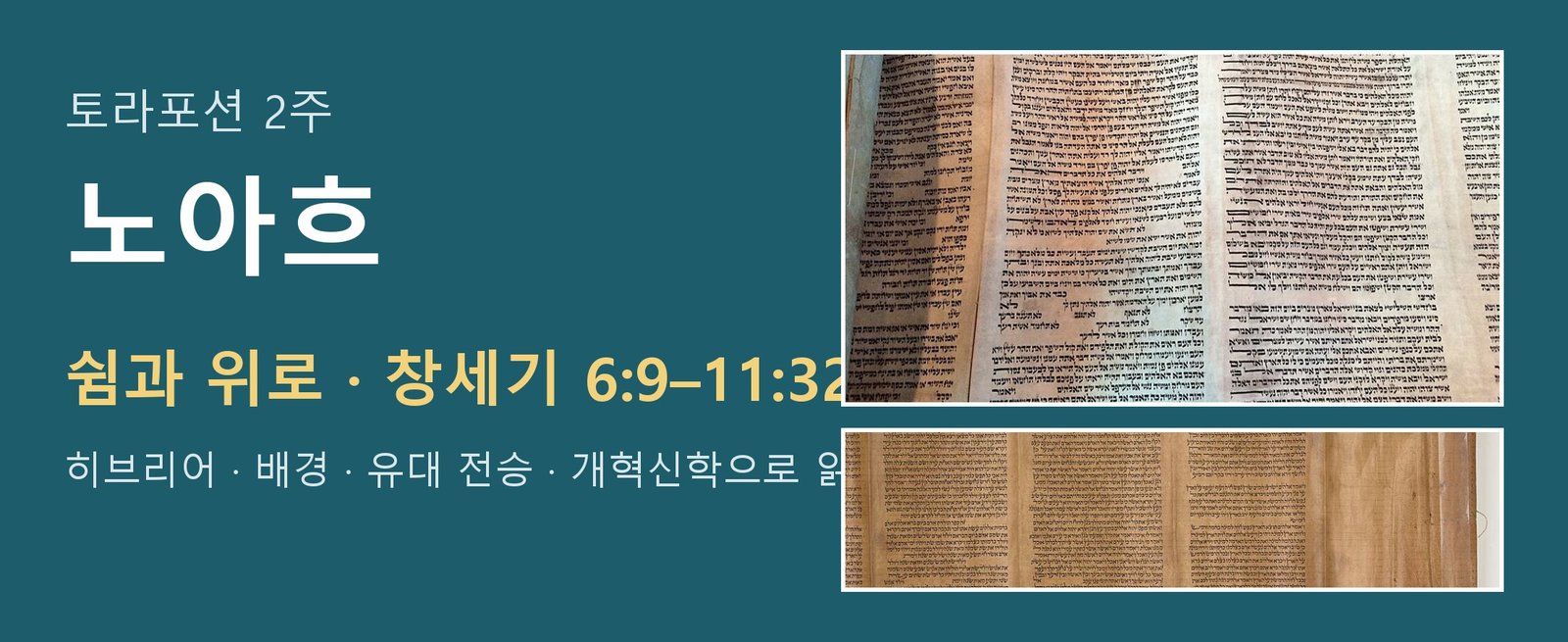 토라포션 2주 노아흐 대표 이미지