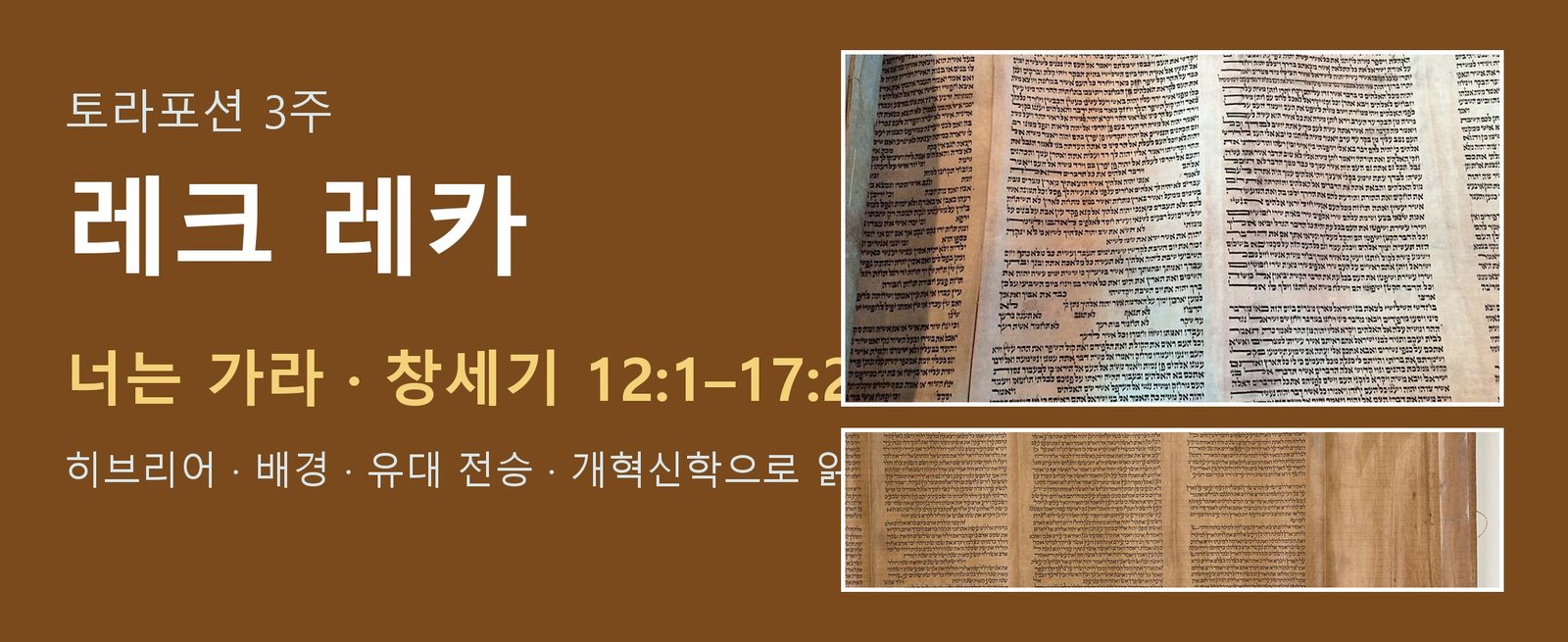 토라포션 3주 레크 레카 대표 이미지